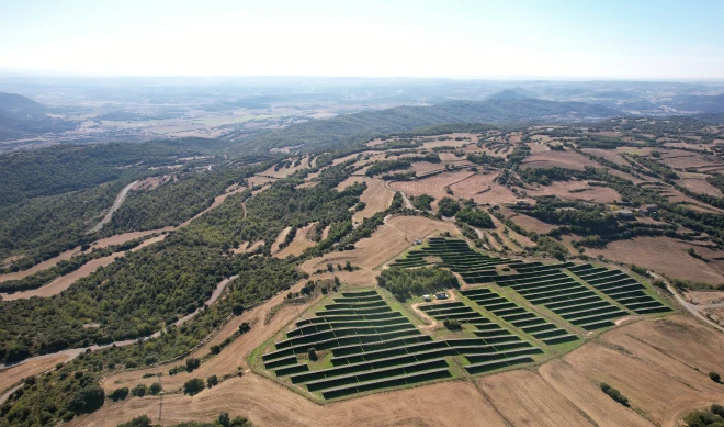 Planta de Mas Pinós